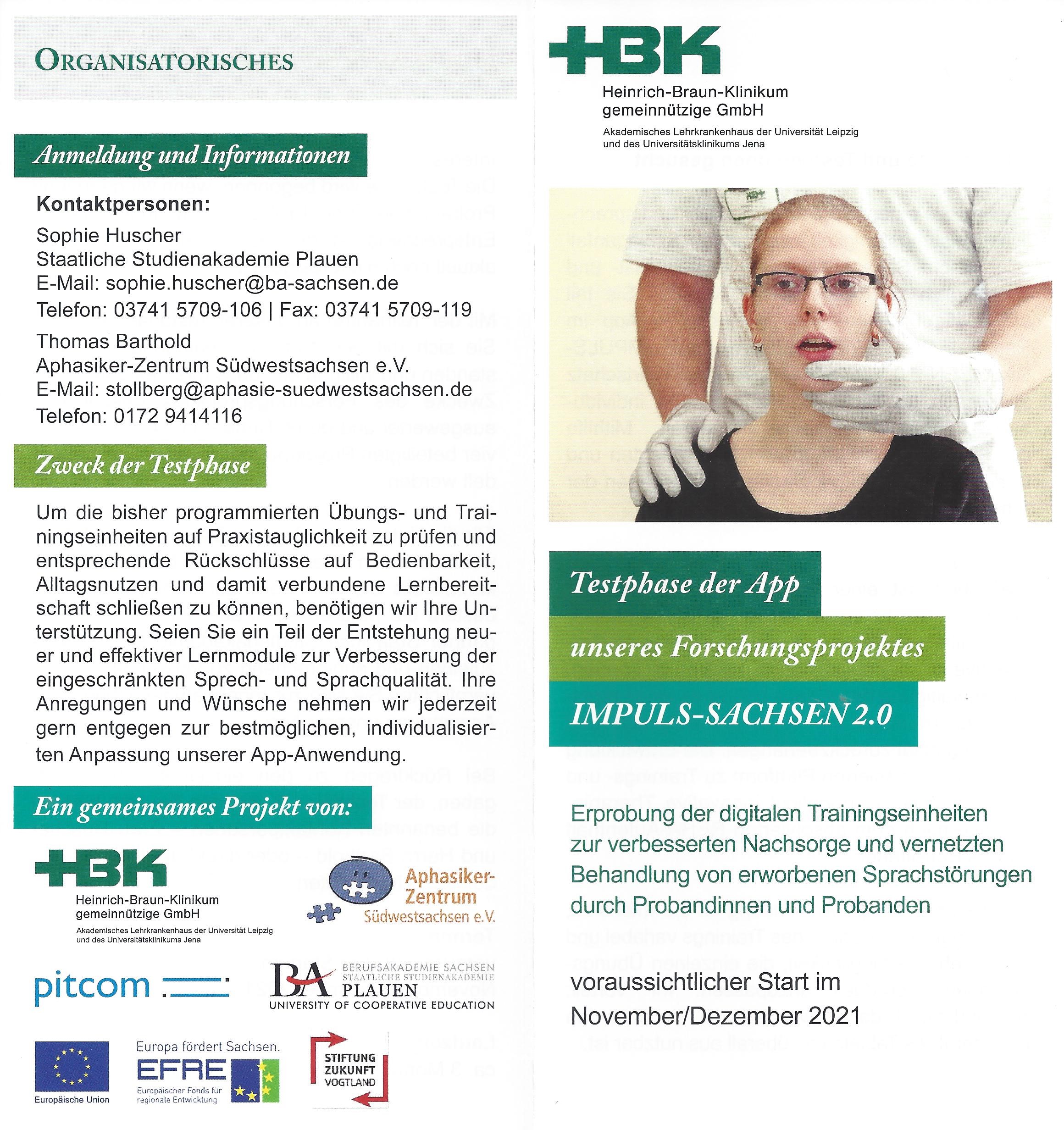 Flyer Impuls Sachsen 2.0 Seite 1